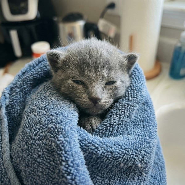 5 days old
