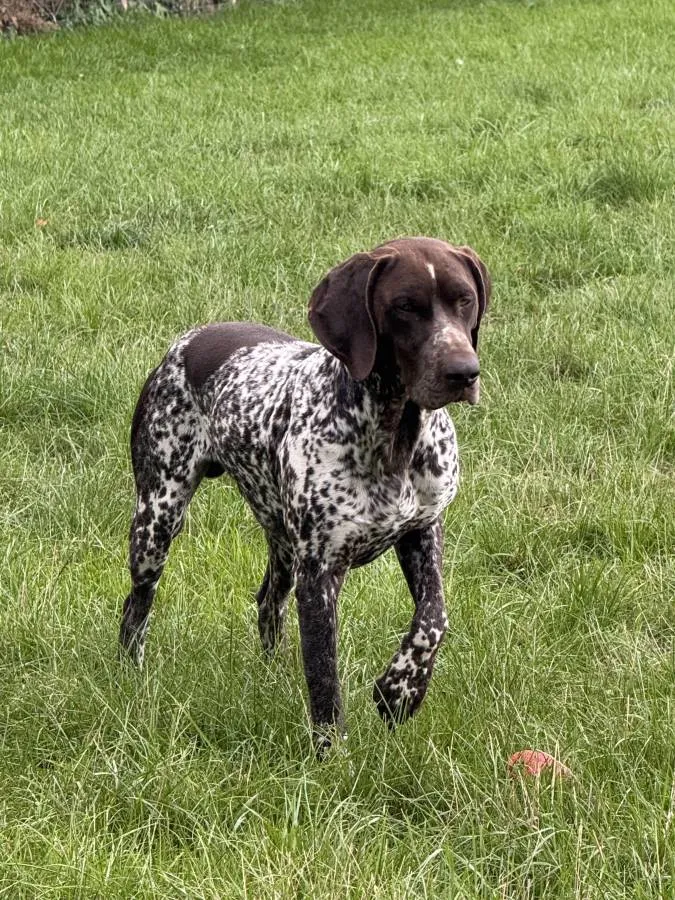 Photo 7